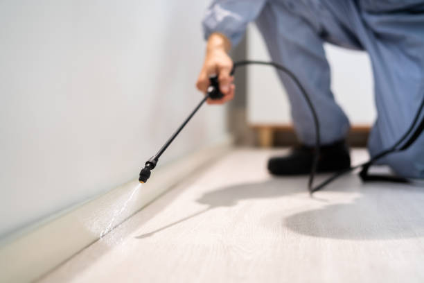 Licensed Pest Control service in Union City, CA - Show Me Pest Control
