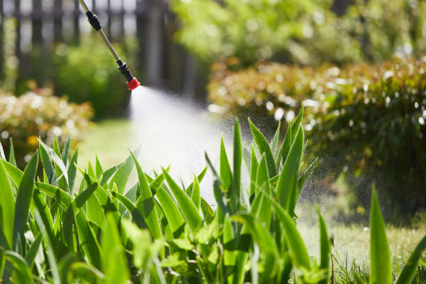 24/7 Emergency Mosquito Control experts in Union City, CA