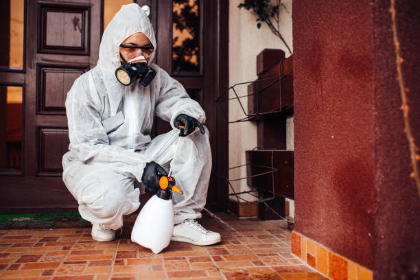 Reliable Mosquito Control contractor in Union City, CA by Show Me Pest Control