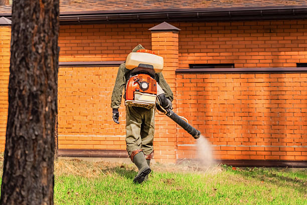 Top rated local Mosquito Control specialists in Union City, CA